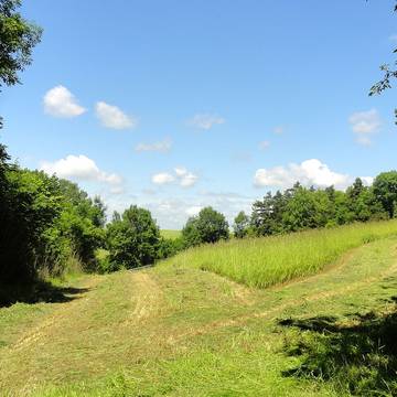 Anciens bâtiments de la Grange aux dîmes